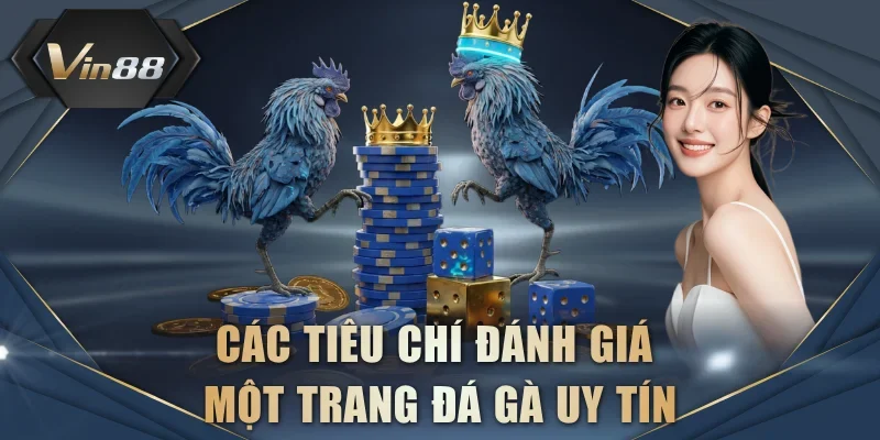 Các tiêu chí đánh giá một trang đá gà uy tín