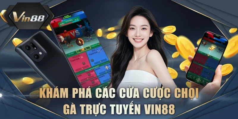 Khám phá các cửa cược chọi gà trực tuyến VIN88