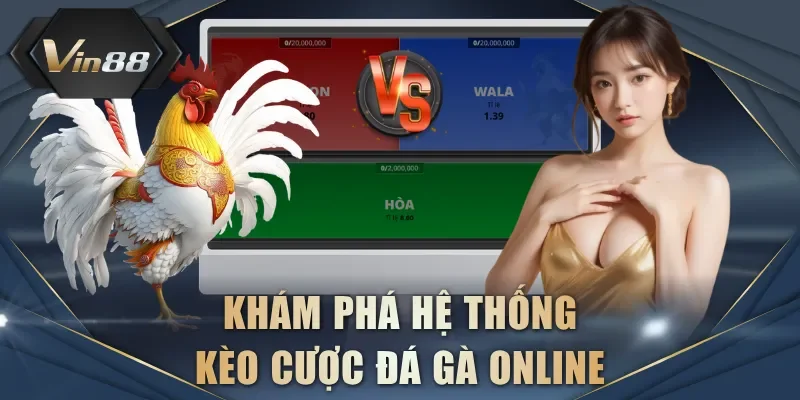 Khám phá hệ thống kèo cược đá gà online