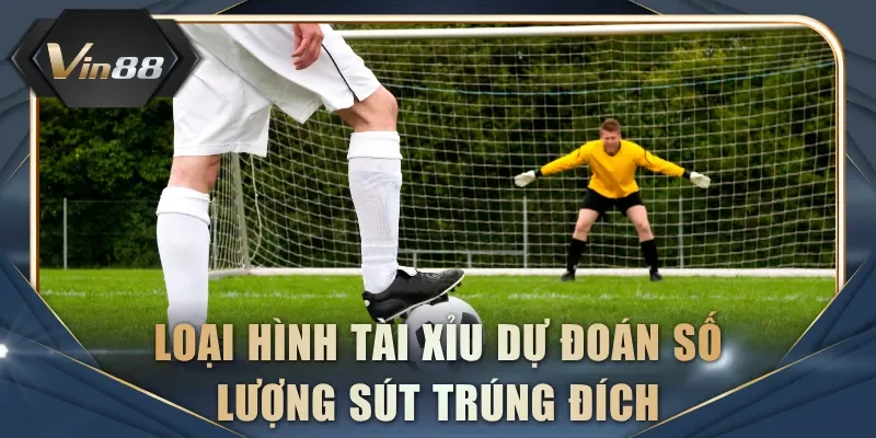 Loại hình Tài Xỉu dự đoán số lượng sút trúng đích