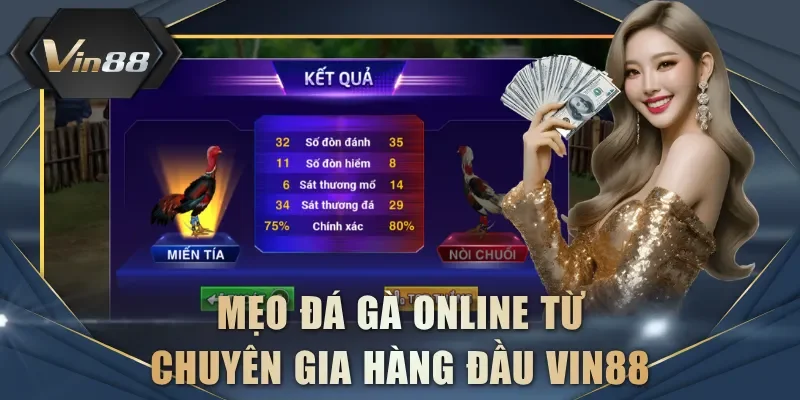 Mẹo đá gà online từ chuyên gia hàng đầu VIN88