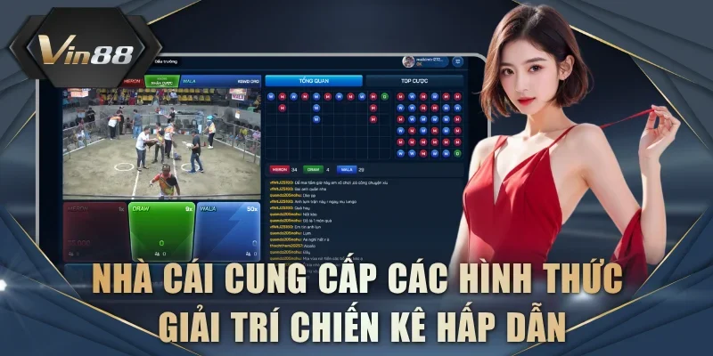 Nhà cái cung cấp các hình thức giải trí chiến kê hấp dẫn