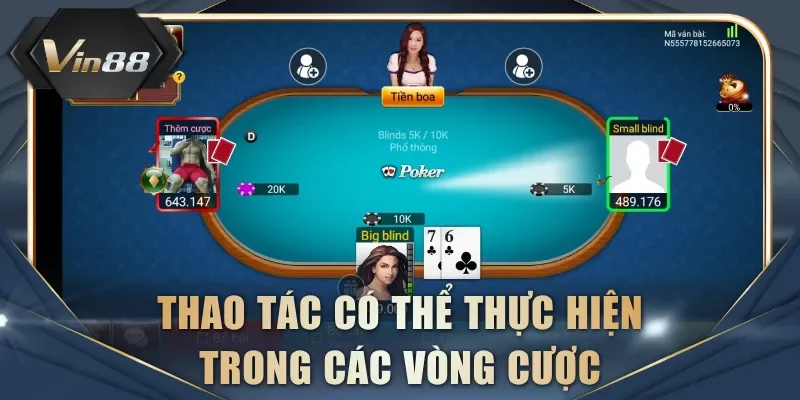 Thao tác có thể thực hiện trong các vòng cược